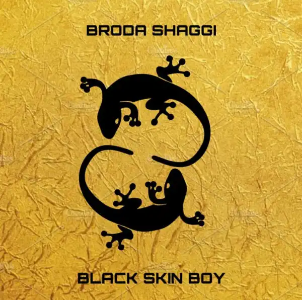 Broda Shaggi - Black Skin Boy